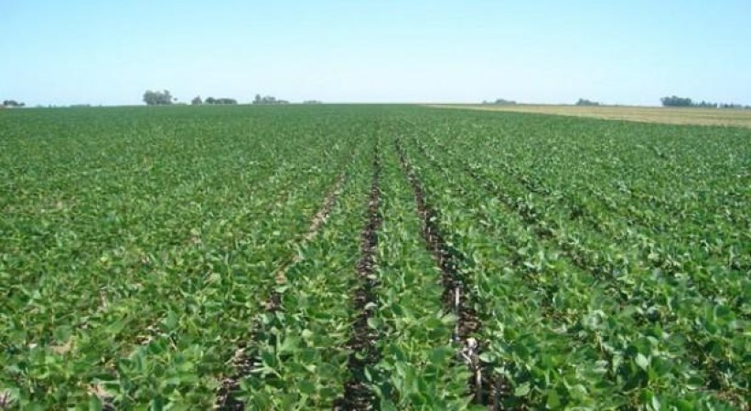  Espectacular Fraccion de Campo en Venta en Lima Provincia de Buenos Aires